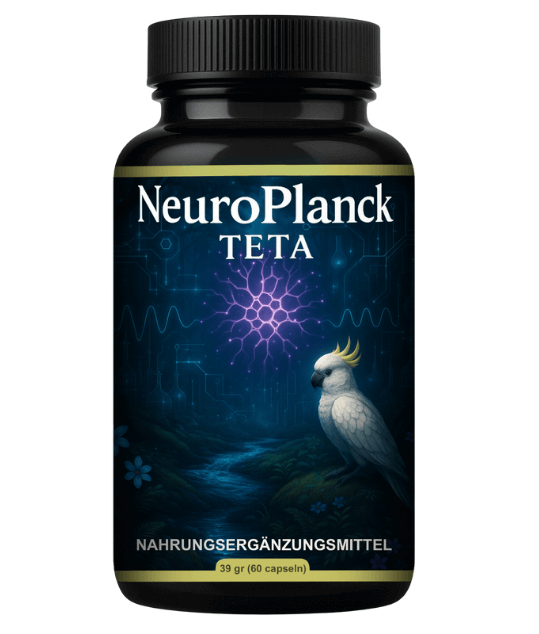 Technologiebereich Bild 2